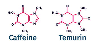 Hendrik Ebbers 👾 on Twitter: "Several people asked me why the @adoptium  #Java runtime is named #Temurin 🧐 Here is one reason 😉👩‍🔬🧪☕️ #OpenJDK…  "