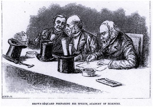 Brown-Séquard preparing a lecture at the Académie des Sciences in Paris. He was professor of medicine at the Collège de France and at the height of his career. Within a few months, his reputation was to be tarnished by his experiments on testicular extracts. From Child T: The Institute of France. In Harper’s New Monthly Magazine 78: 501-520, 1889. Brown-Séquard preparing a lecture at the Académie des Sciences in Paris. He was professor of medicine at the Collège de France and at the height of his career. Within a few months, his reputation was to be tarnished by his experiments on testicular extracts. From Child T: The Institute of France. In Harper’s New Monthly Magazine 78: 501-520, 1889.