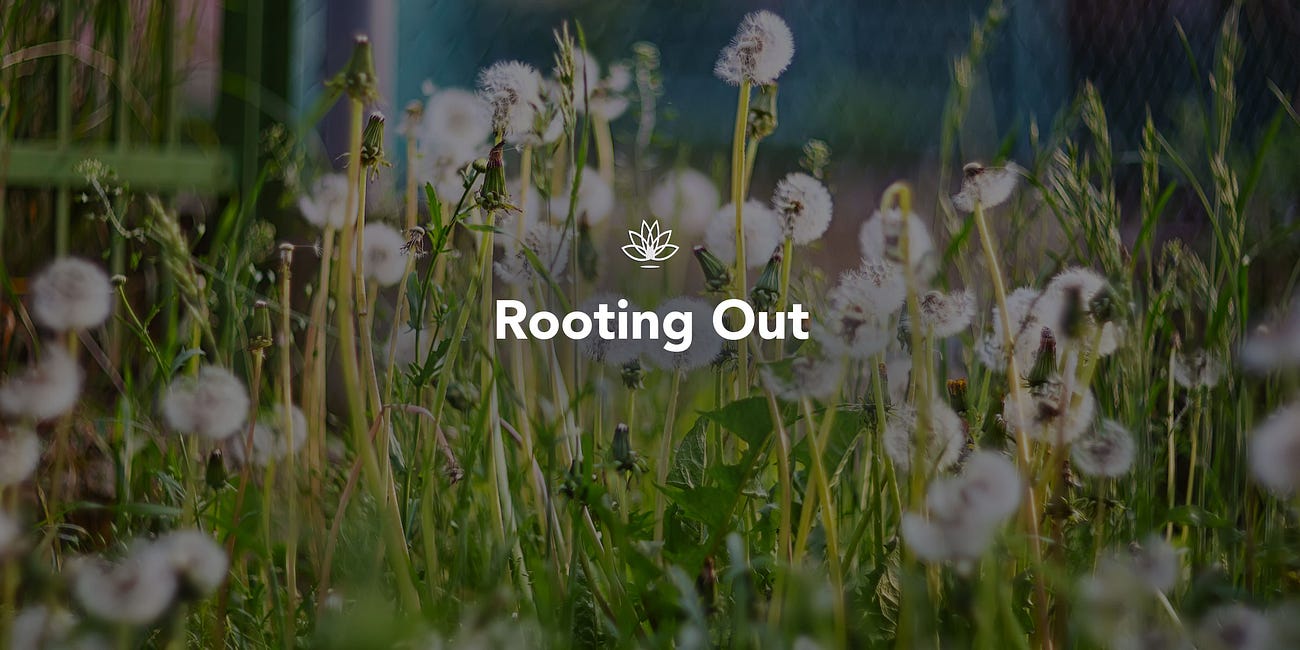 Rooting Out