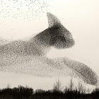 The Failure of Generalizable Models