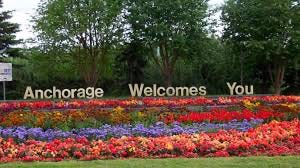 A garden with flowers and trees

AI-generated content may be incorrect.