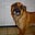 Gwyndolyn McMillin's avatar