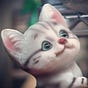 wandersick's avatar