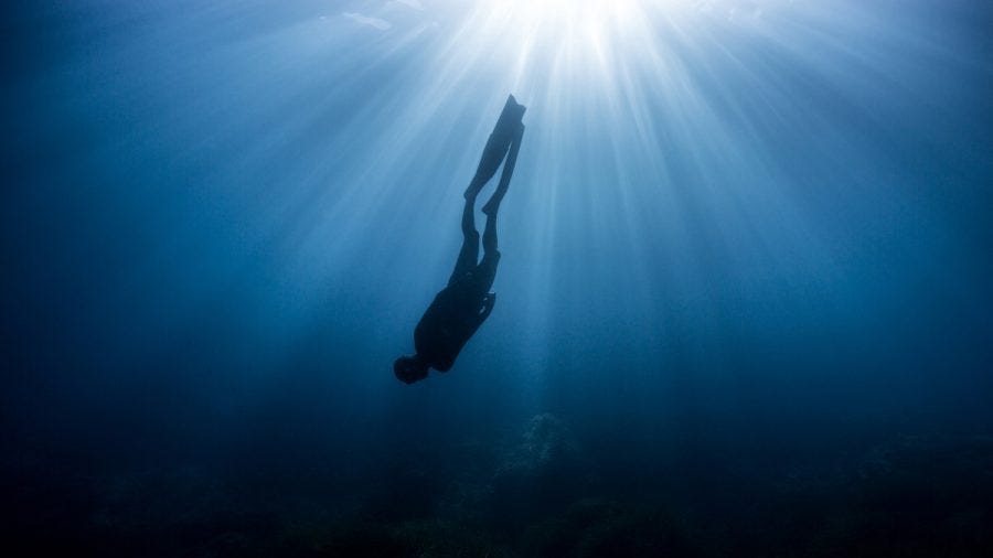 Deep Dive Mentoring – 4 sessions to deepen your Earth walk - TimeWaves