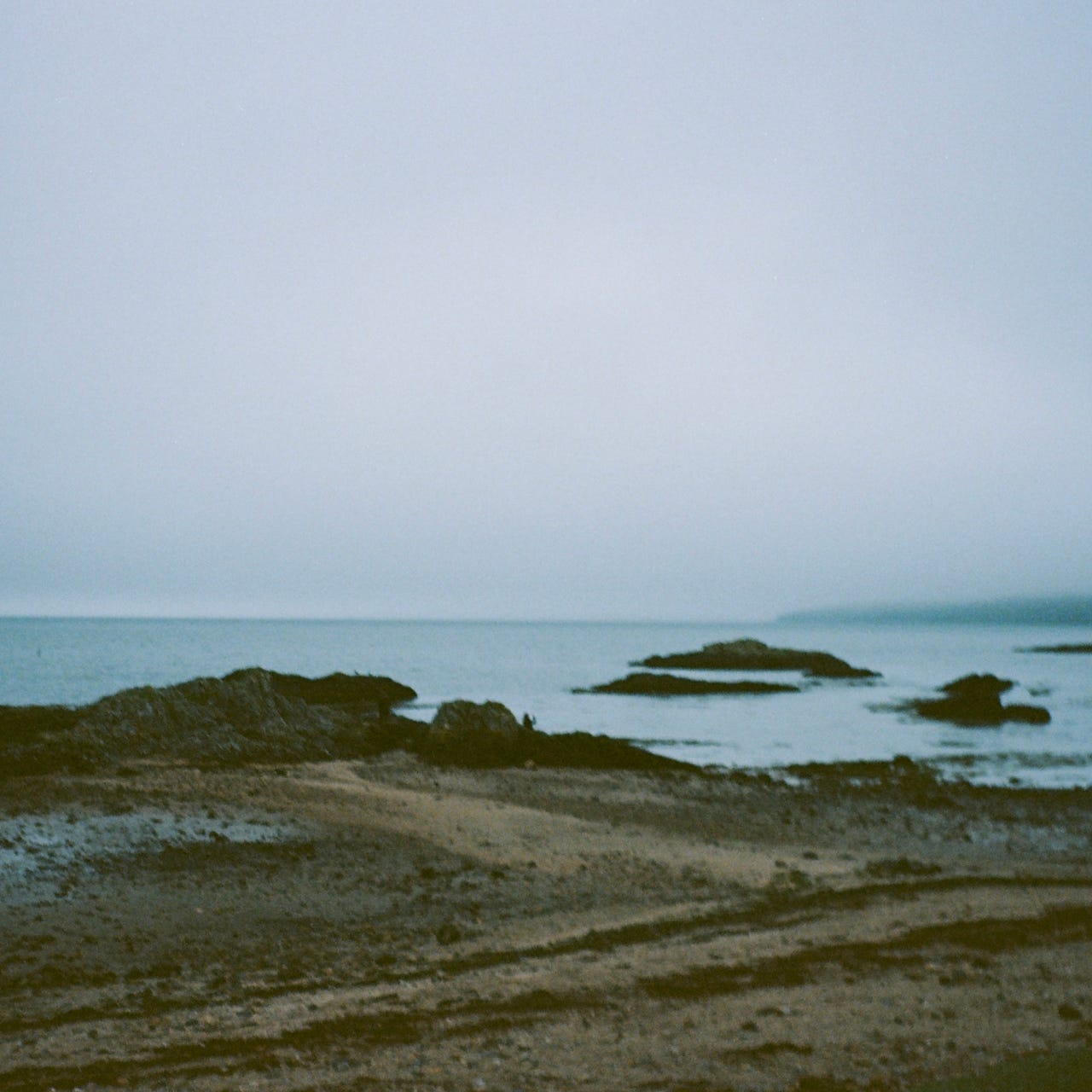 thoughts, recs & a supper spesh