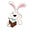 The Rainbow Rabit's avatar