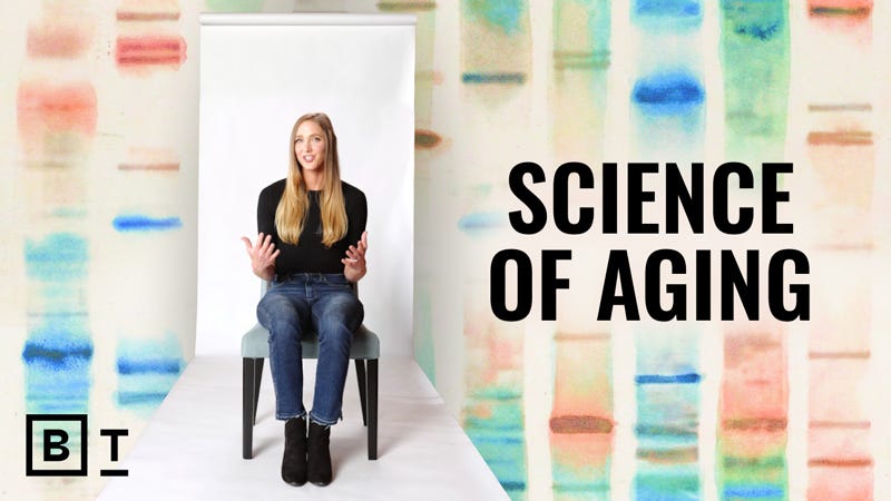 The science of aging - Big Think