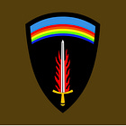 Foreign Military Studies