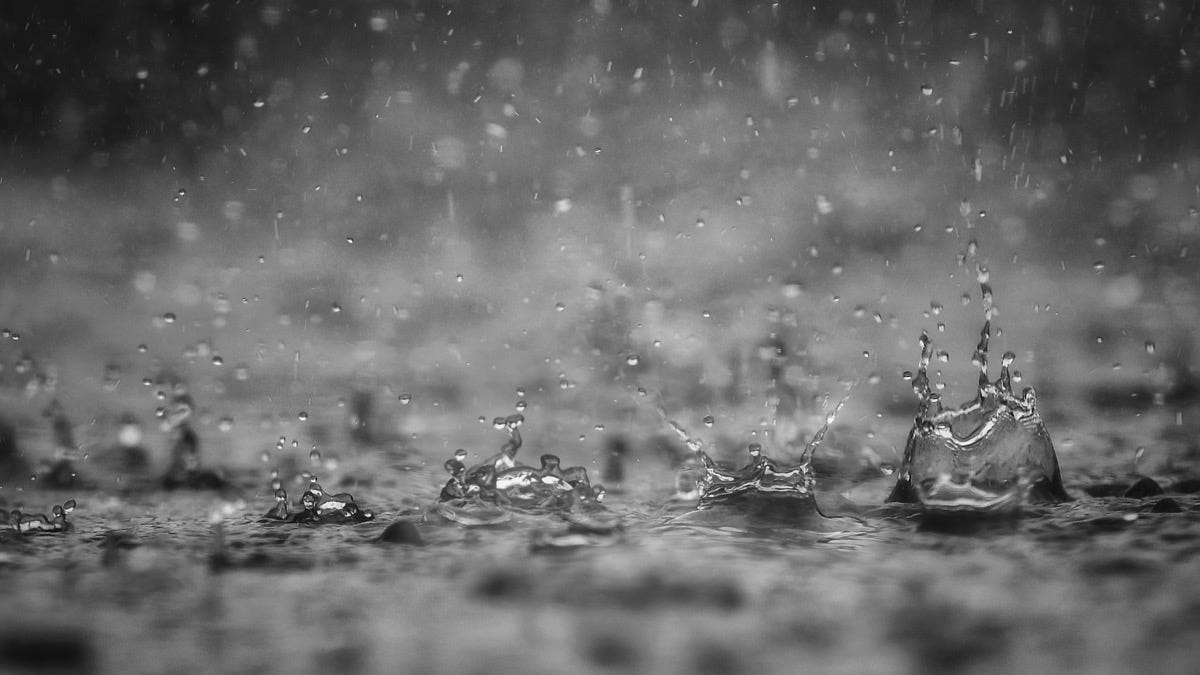 Rain drops Rain drops