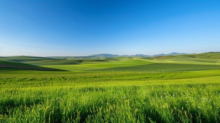 Free Vibrant Green Fields Image - Fields, Green, Sky | Download at StockCake Free Vibrant Green Fields Image - Fields, Green, Sky | Download at StockCake