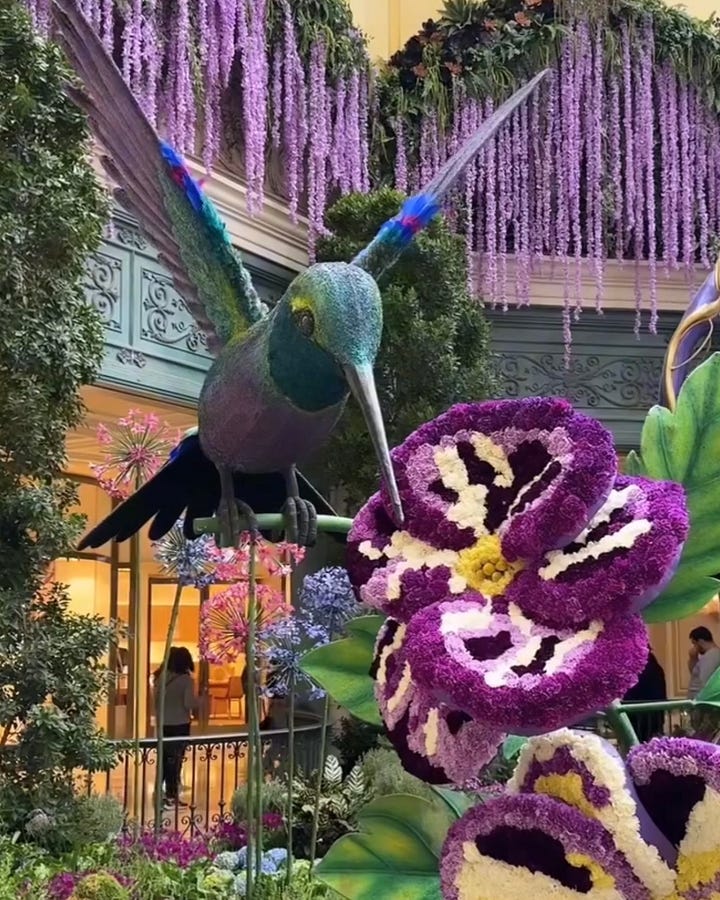 Bellagio Conservatory & Botanical Garden Spring Display
