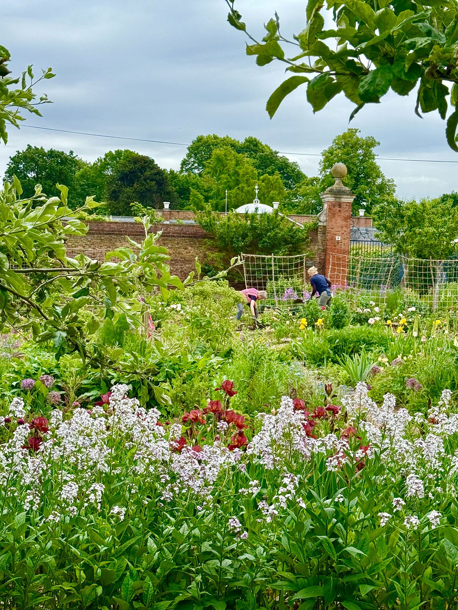 The Kitchen Gardens at Chiswick House