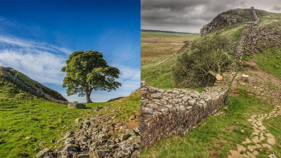 Two images of sycamore gap.