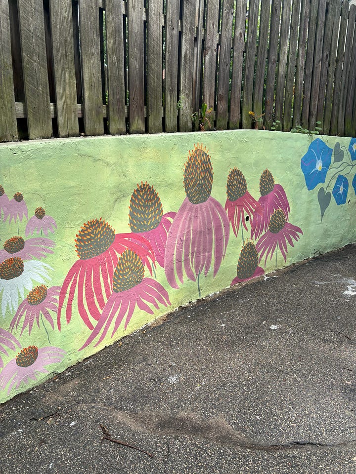 Four photographs of a mural in progress. Giant morning glory and echinacea blossoms on a light green background.