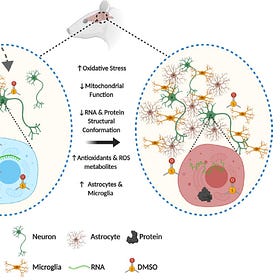 Dimethyl Sulfoxide Deaths and Neurotoxicity