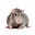 Frank The Rat's avatar