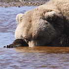 I HATE TABS! Tabs, Tues., Sept. 17, 2024