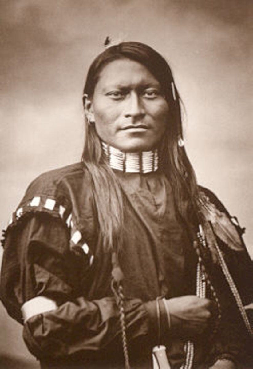 Health Secrets of the Plains Indians - HubPages