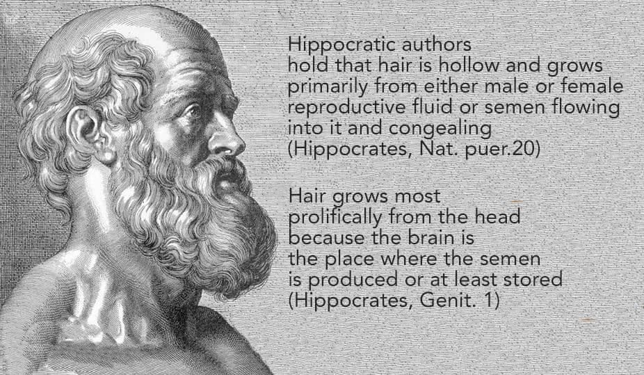 Hippocrates & Hair.jpg