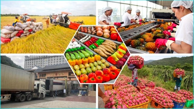 'Hàng rào xanh' của EU: Doanh nghiệp Việt phải đổi tư duy để giữ thị trường