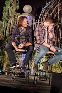 hide_face_WM hide_face_WM