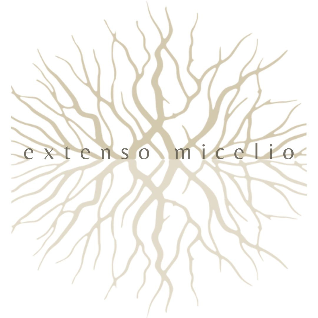 extenso micelio