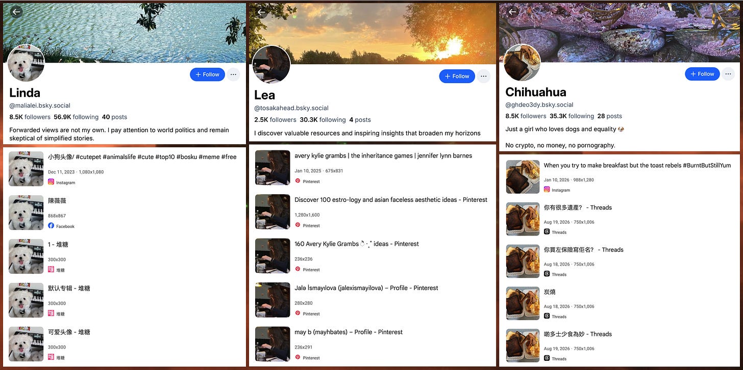 screenshots of the profiles of three of the accounts in the network, and reverse image searches showing that their profile photos are plagiarized screenshots of the profiles of three of the accounts in the network, and reverse image searches showing that their profile photos are plagiarized