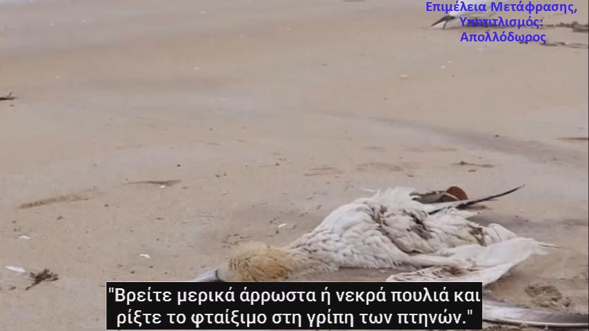 Dr Sam Bailey - Η Φάρσα της “γρίπης των πτηνών” (“ιός Η5Ν1”) - Αφαιρώντας τα Κοτόπουλά Σας -[BINTEO]