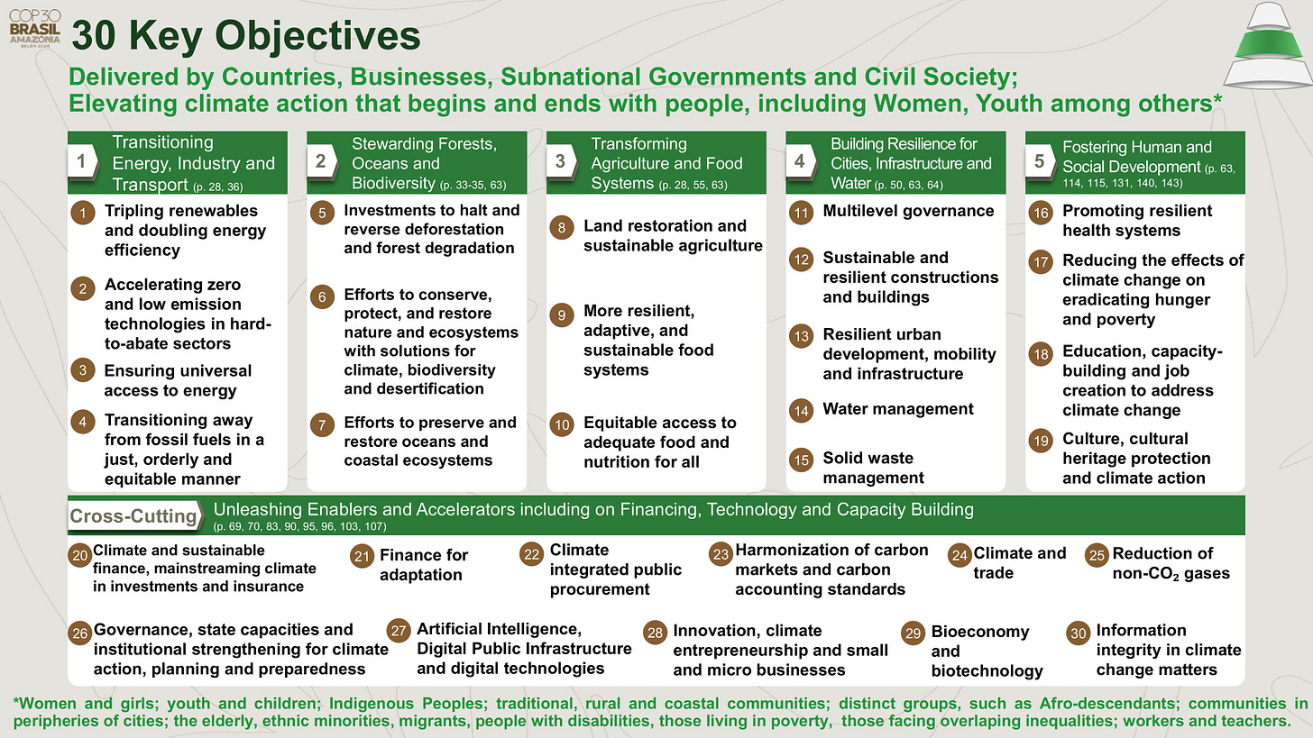 COP30 proposal: "Global Public Digital Infrastructure for Climate ...