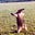 sticko's avatar