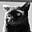 Ralphie's avatar