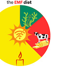 The EMF diet for tinnitus