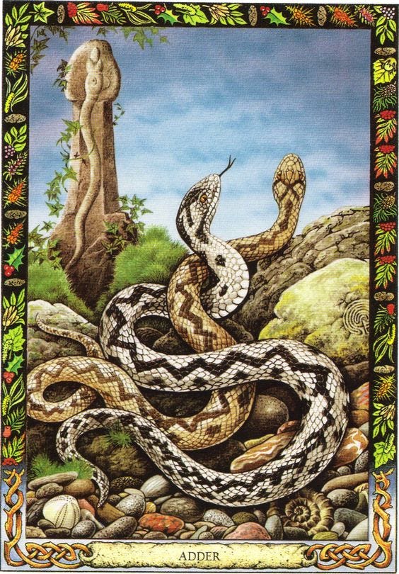 A Message from the Universe - Adder A Message from the Universe - Adder