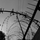 Religious freedom ‘increasingly disappearing’ warns Aid to Church in Need