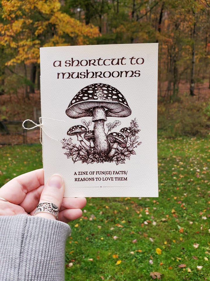 The two photos show the different versions of the cover. On the first is a Hobbity font and picture of of amanita muscaria/fly agaric mushrooms. On the second is a more whimsical font and a photo of a frog wearing a mushroom cap with some stars around it. 
