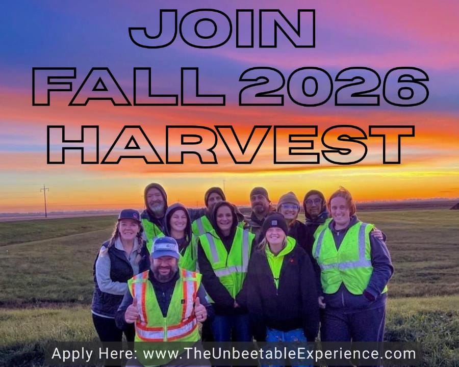 Join The Unbeetable Experience For The 2026 Beet Harvest Join The Unbeetable Experience For The 2026 Beet Harvest