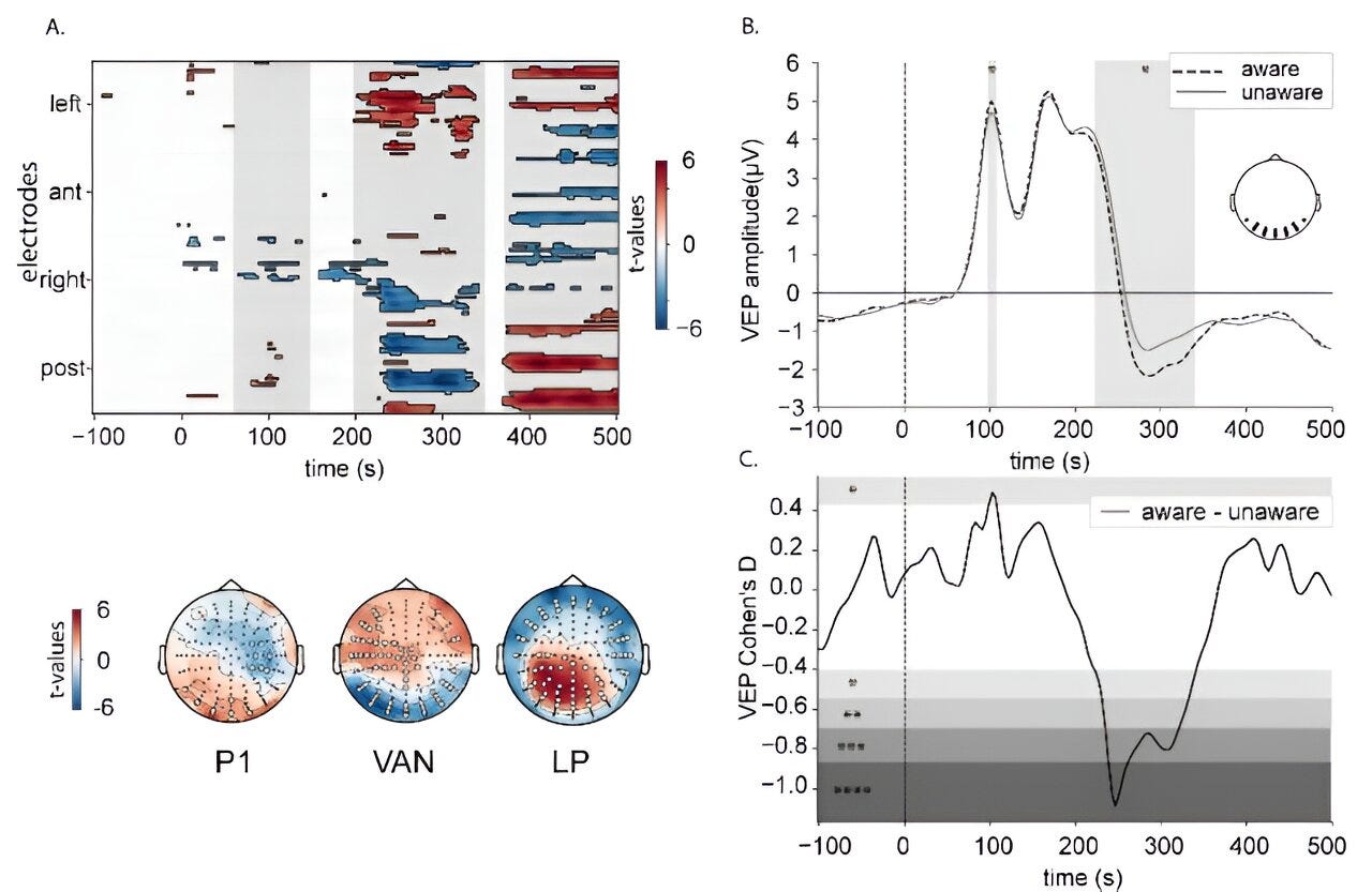 Researchers show how breathing and heartbeat influence perception Researchers show how breathing and heartbeat influence perception
