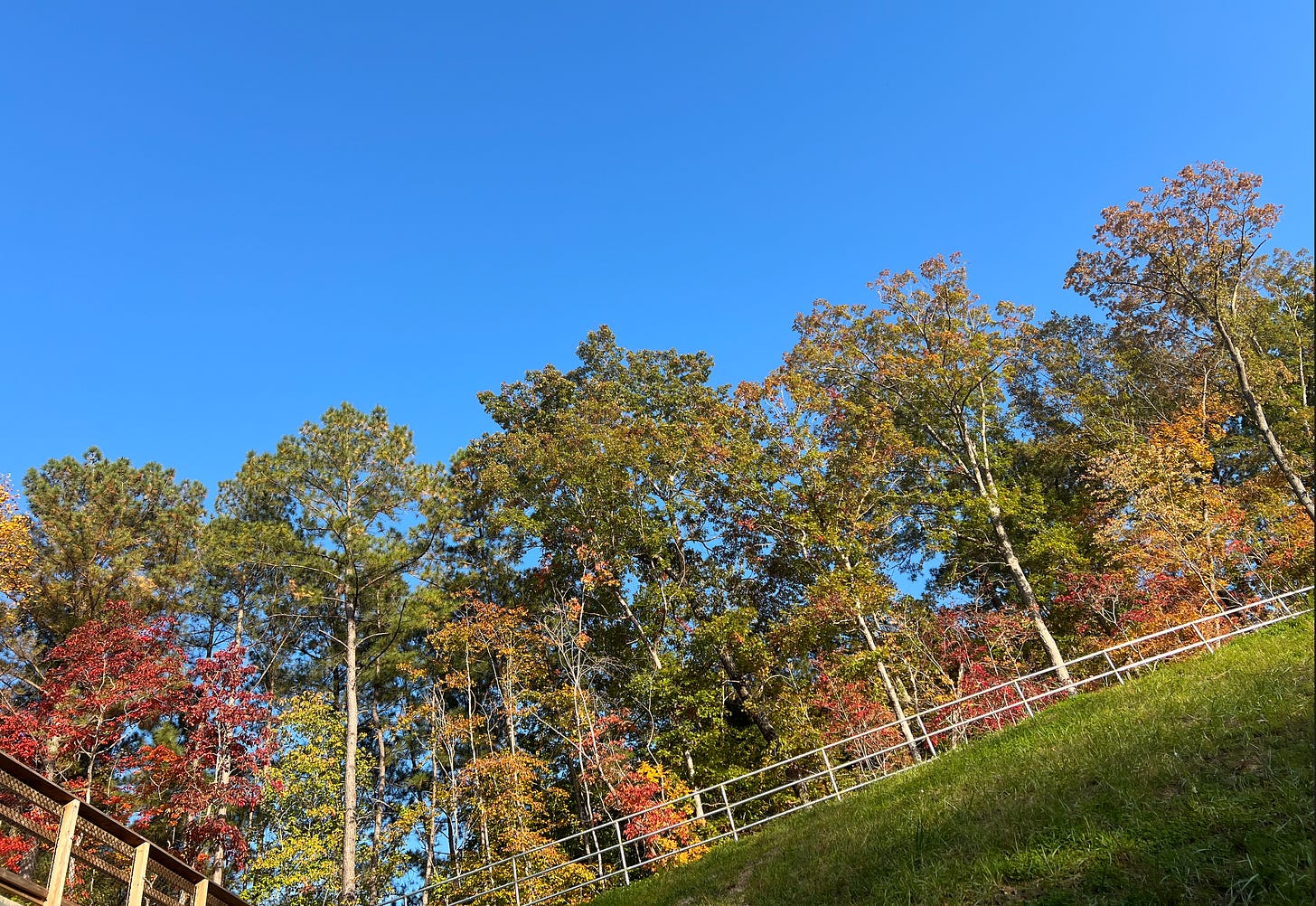 Photo of fall colors. Credit Neesha Mirchandani Photo of fall colors. Credit Neesha Mirchandani