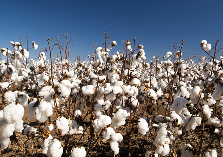 Fairtrade advocate issues textile sector rallying cry