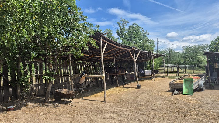 Images of a potentical location – Egy helyszín lehetőség képei, Fót