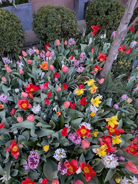 Google Pixel 9a camera quality