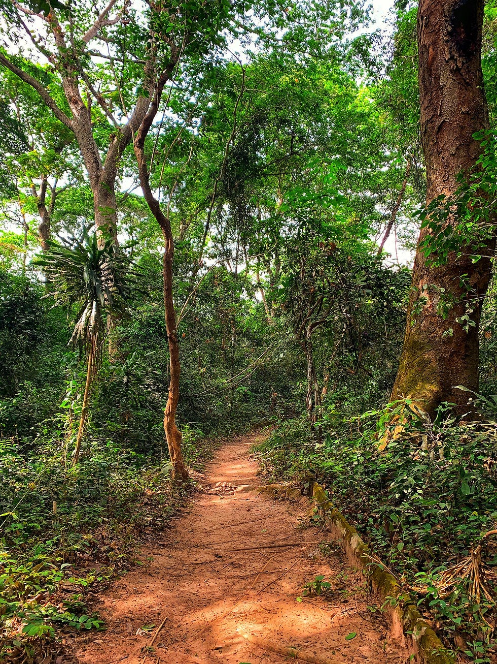 Osun Sacred Grove