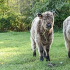 He Runs, She’s a Runner