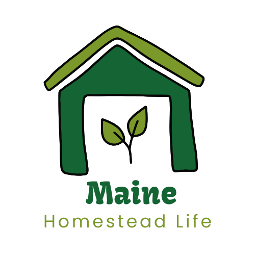 Maine Homestead Life
