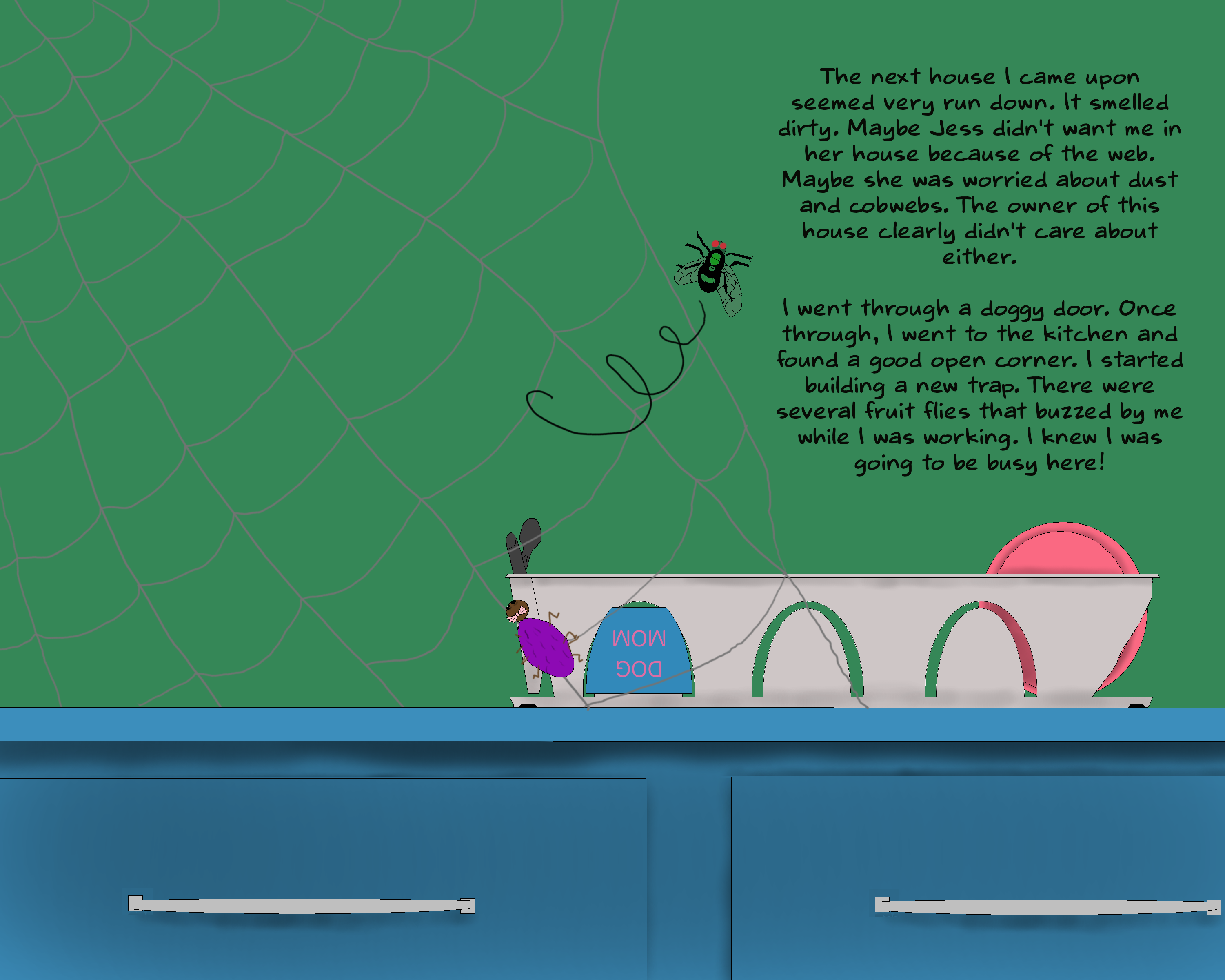 Sam on a web over a dish rack.