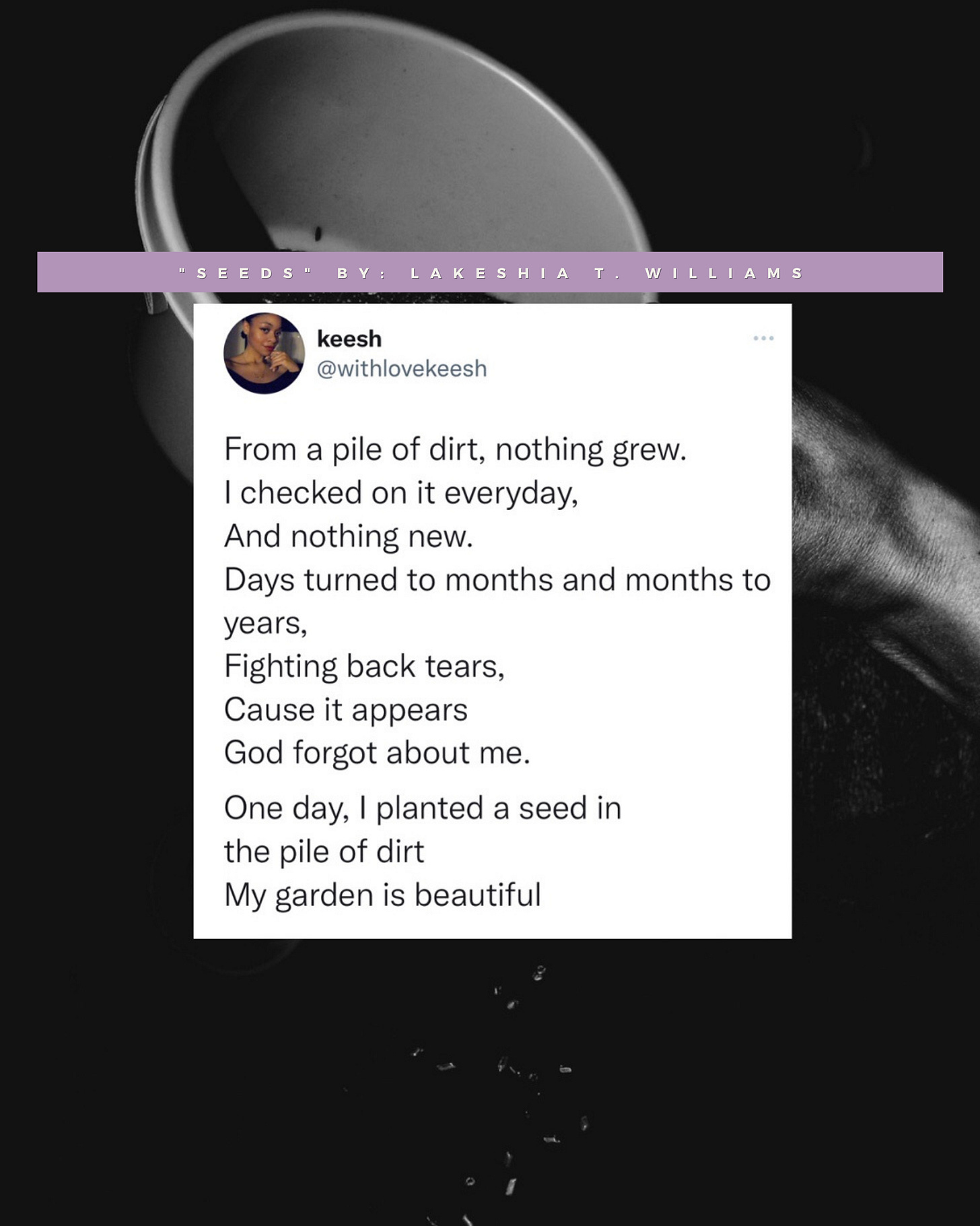 “Seeds”- Reconnecting with the Authentic Self Poetry Positive and powerful original poems for self love, healing journeys, shadow work, inner child healing, and divine feminine energy healing