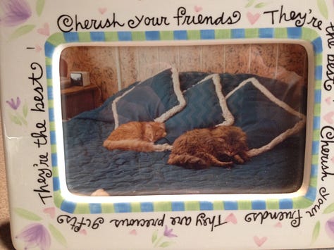 Photo 1: Tuffy; Photo 2: T2 & Maynard; Photo 3: Si