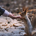 Life's Sacred Living System