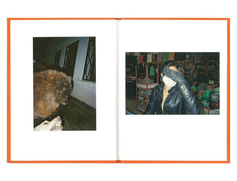 One Picture Book #88: Bogotá Funsaver - Alec SOTH | shashasha ...