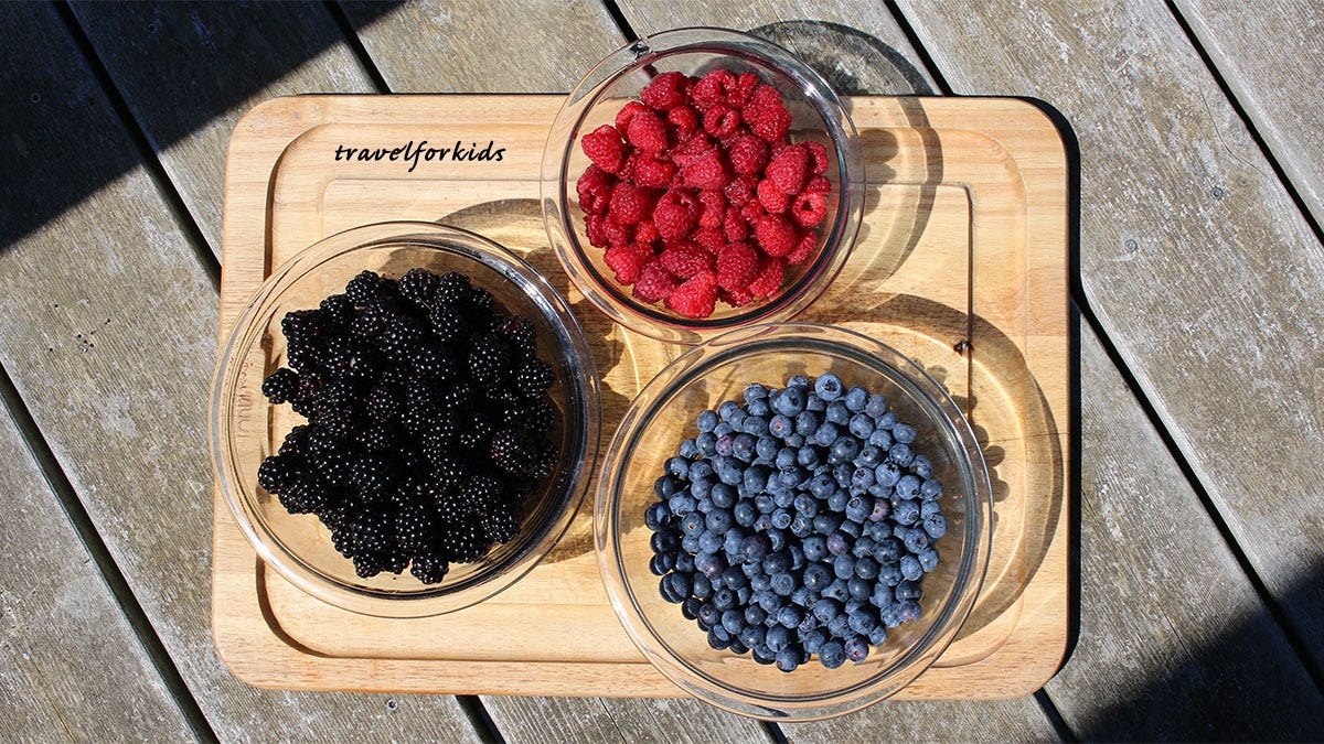 August is time for berry-picking